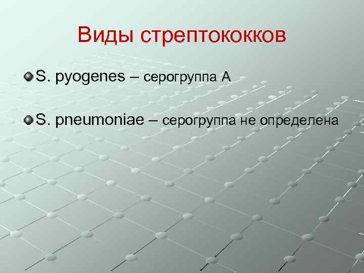 Виды стрептококков S. pyogenes – серогруппа А S. pneumoniae – серогруппа не определена 