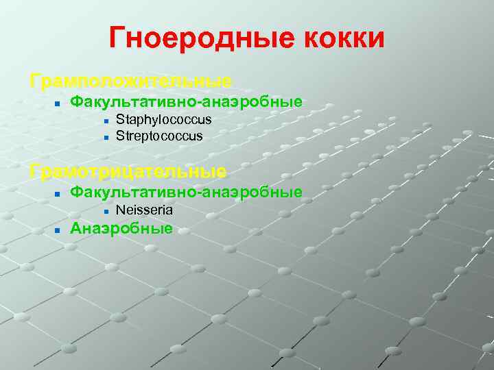 Гноеродные кокки Грамположительные n Факультативно-анаэробные n n Staphylococcus Streptococcus Грамотрицательные n Факультативно-анаэробные n n