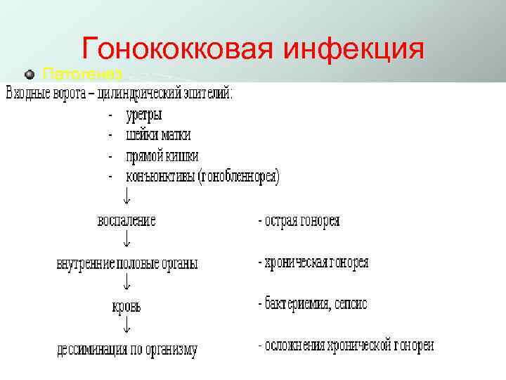 Гонококковая инфекция Патогенез 