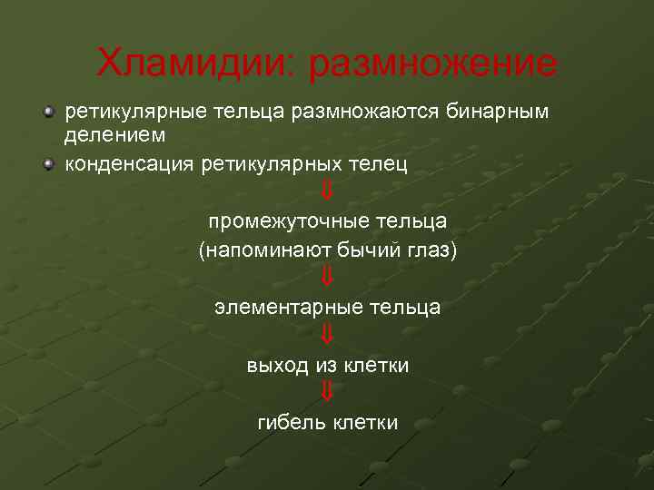 Хламидии: размножение ретикулярные тельца размножаются бинарным делением конденсация ретикулярных телец промежуточные тельца (напоминают бычий