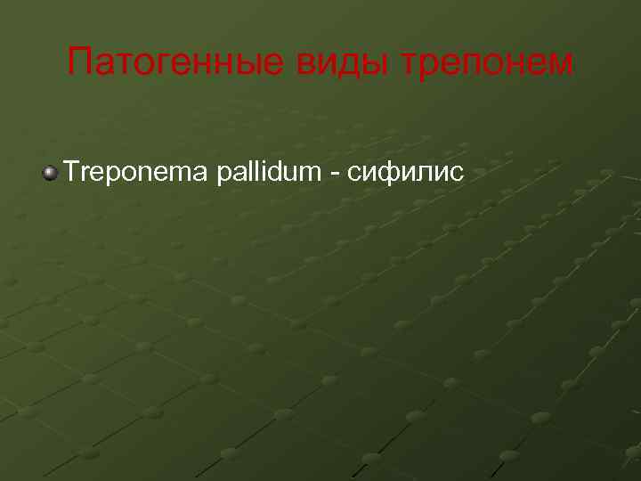 Патогенные виды трепонем Treponema pallidum - сифилис 