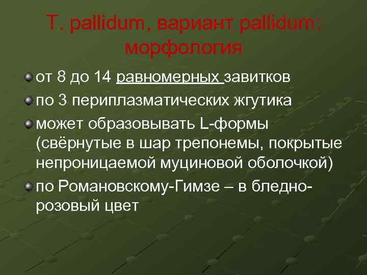 T. pallidum, вариант pallidum: морфология от 8 до 14 равномерных завитков по 3 периплазматических