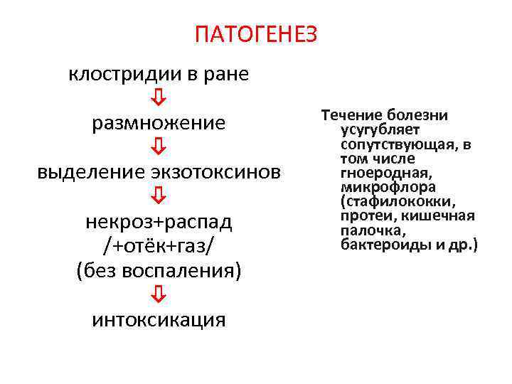 ПАТОГЕНЕЗ клостридии в ране размножение выделение экзотоксинов некроз+распад /+отёк+газ/ (без воспаления) интоксикация Течение болезни