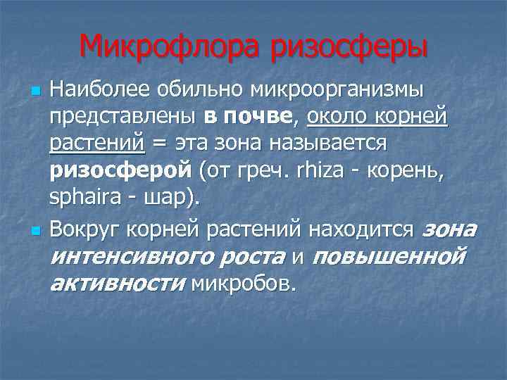 Микрофлора ризосферы n n Наиболее обильно микроорганизмы представлены в почве, около корней растений =