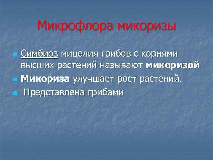 Микрофлора микоризы n n n Симбиоз мицелия грибов с корнями высших растений называют микоризой