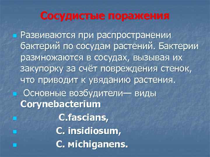 Сосудистые поражения n n n Развиваются при распространении бактерий по сосудам растений. Бактерии размножаются