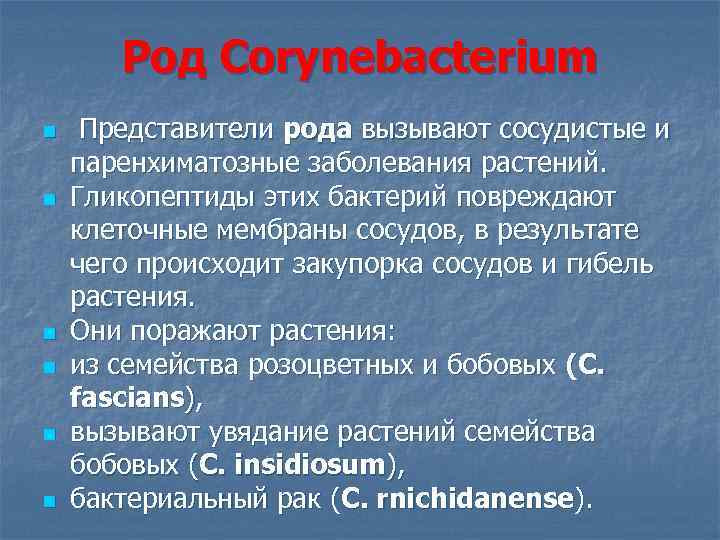 Род Corynebacterium n n n Представители рода вызывают сосудистые и паренхиматозные заболевания растений. Гликопептиды