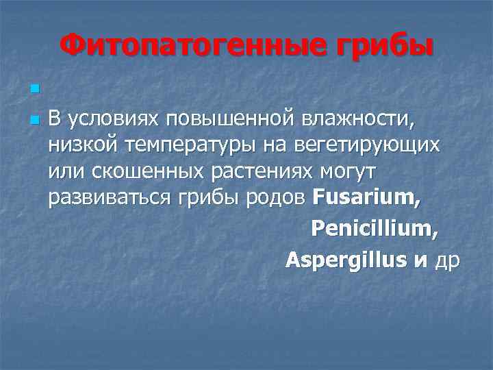 Фитопатогенные грибы n В условиях повышенной влажности, низкой температуры на вегетирующих или скошенных растениях