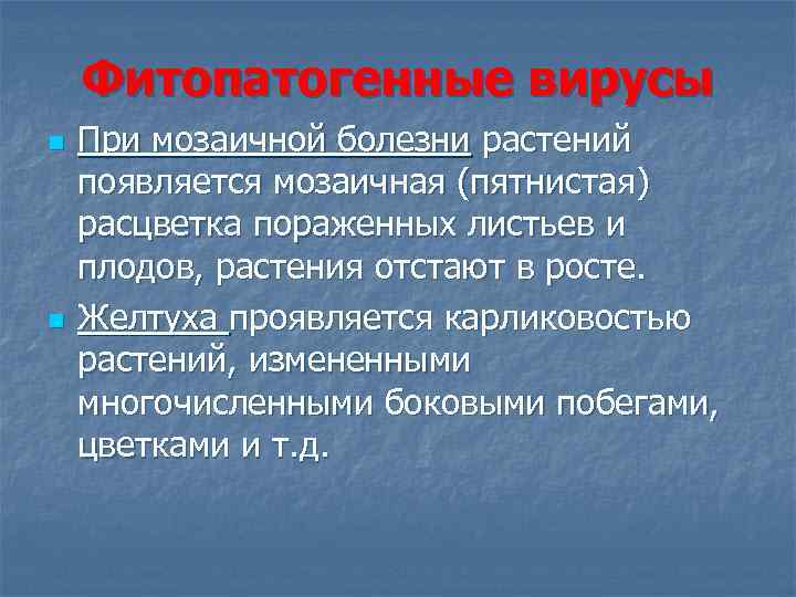 Фитопатогенные вирусы n n При мозаичной болезни растений появляется мозаичная (пятнистая) расцветка пораженных листьев