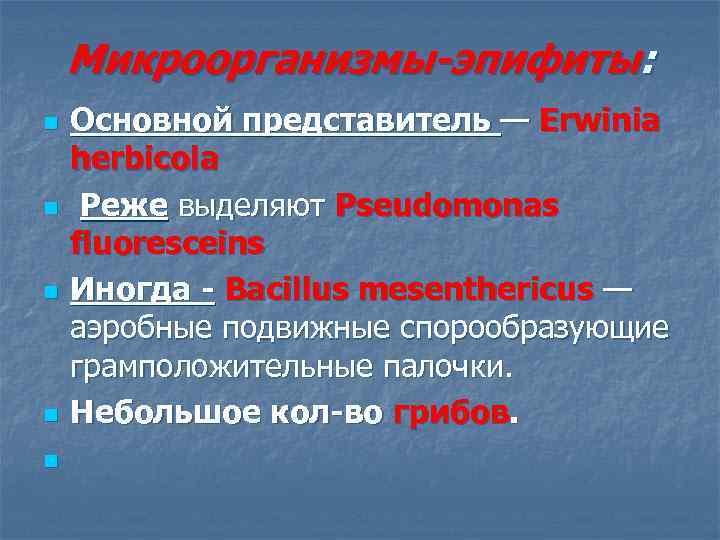Микроорганизмы-эпифиты: n n n Основной представитель — Erwinia herbicola Реже выделяют Pseudomonas fluoresceins Иногда