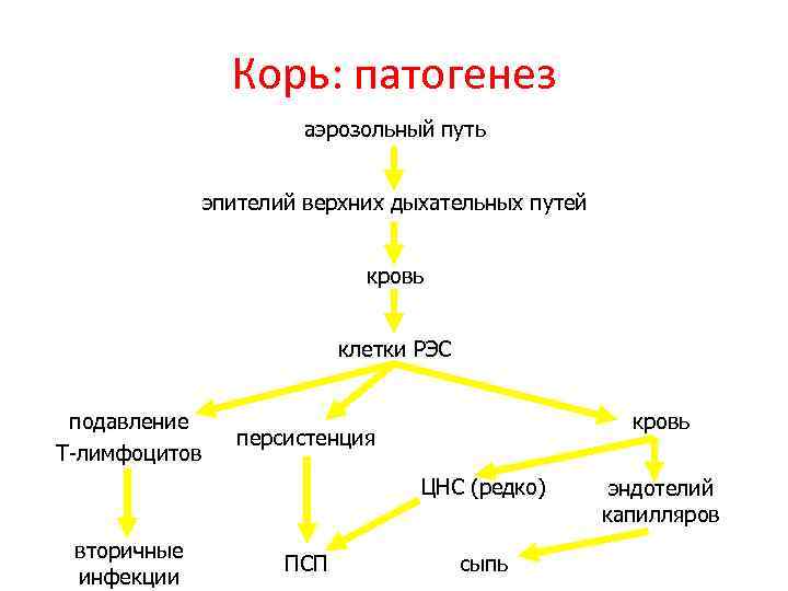 Корь: патогенез аэрозольный путь эпителий верхних дыхательных путей кровь клетки РЭС подавление Т-лимфоцитов кровь