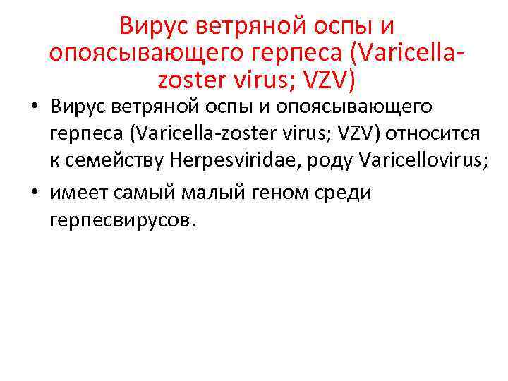 Вирус ветряной оспы и опоясывающего герпеса (Varicellazoster virus; VZV) • Вирус ветряной оспы и