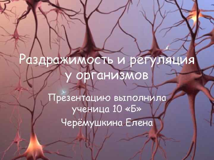 Раздражимость и регуляция у организмов Презентацию выполнила ученица 10 «Б» Черёмушкина Елена 