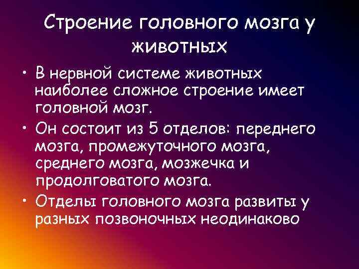 Раздражимость и поведение животных 8 класс презентация. Строение головного мозга животных. Промежуточный мозг строение и функции таблица. Наиболее сложное строение имеет. Функции промежуточного мозга.