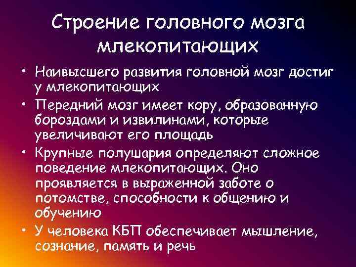  Строение головного мозга млекопитающих • Наивысшего развития головной мозг достиг у млекопитающих •