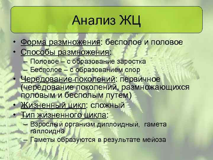 Анализ ЖЦ • Форма размножения: бесполое и половое • Способы размножения: – Половое –