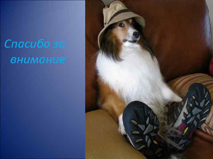 Спасибо за внимание 