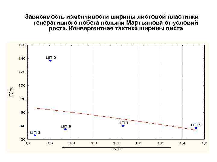 Зависимость изменчивости ширины листовой пластинки генеративного побега полыни Мартьянова от условий роста. Конвергентная тактика