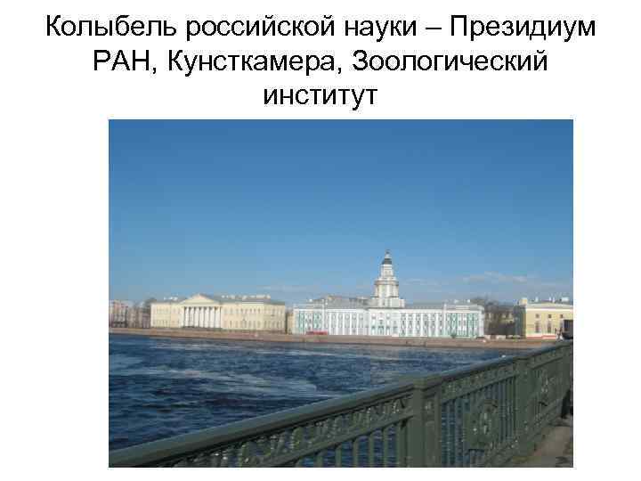 Колыбель российской науки – Президиум РАН, Кунсткамера, Зоологический институт 