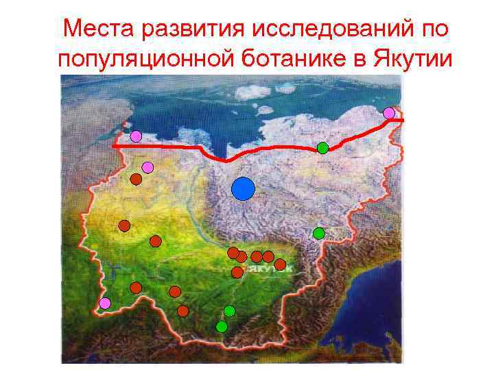 Места развития исследований по популяционной ботанике в Якутии 