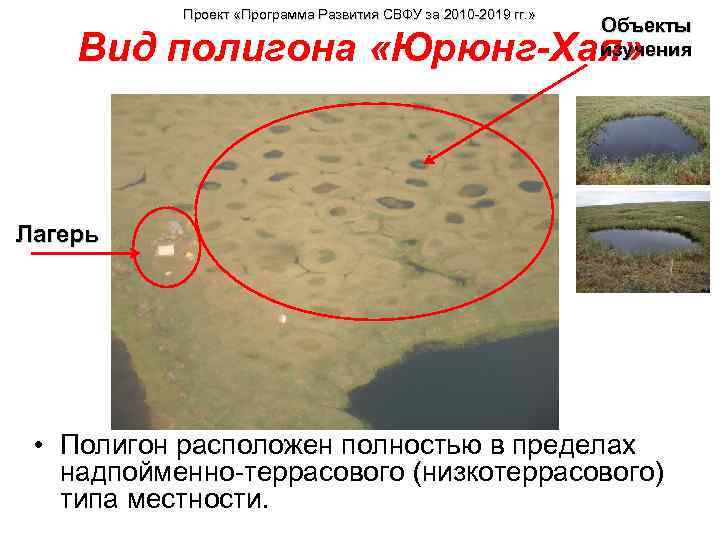 Проект «Программа Развития СВФУ за 2010 -2019 гг. » Объекты изучения Вид полигона «Юрюнг-Хая»