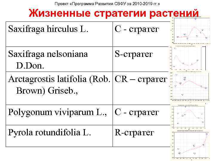 Проект «Программа Развития СВФУ за 2010 -2019 гг. » Жизненные стратегии растений Saxifraga hirculus