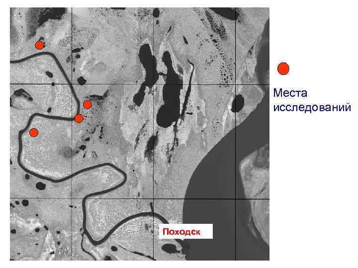 Места исследований Походск 