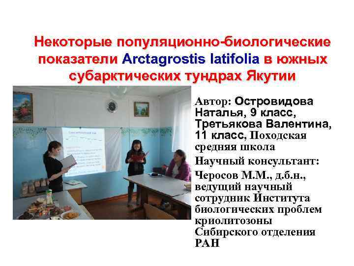 Некоторые популяционно-биологические показатели Arctagrostis latifolia в южных субарктических тундрах Якутии Автор: Островидова Наталья, 9