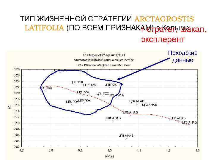 ТИП ЖИЗНЕННОЙ СТРАТЕГИИ ARCTAGROSTIS LATIFOLIA (ПО ВСЕМ ПРИЗНАКАМ) в Колыме r-стратег, шакал, эксплерент Походские