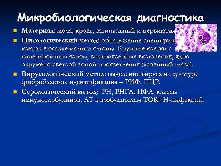 Микробиологическая диагностика n n Материал: моча, кровь, вагинальный и цервикальный секрет. Цитологический метод: обнаружение