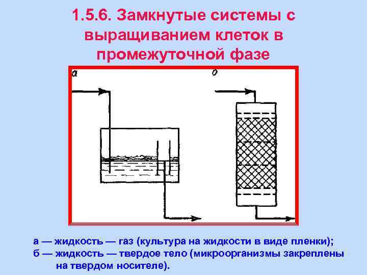 1. 5. 6. Замкнутые системы с выращиванием клеток в промежуточной фазе а — жидкость