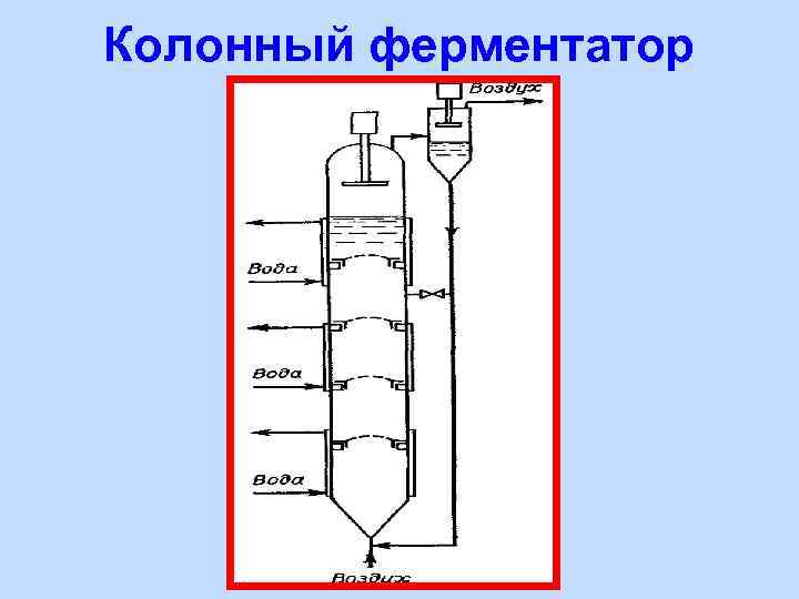 Схема ферментера для периодического культивирования микроорганизмов