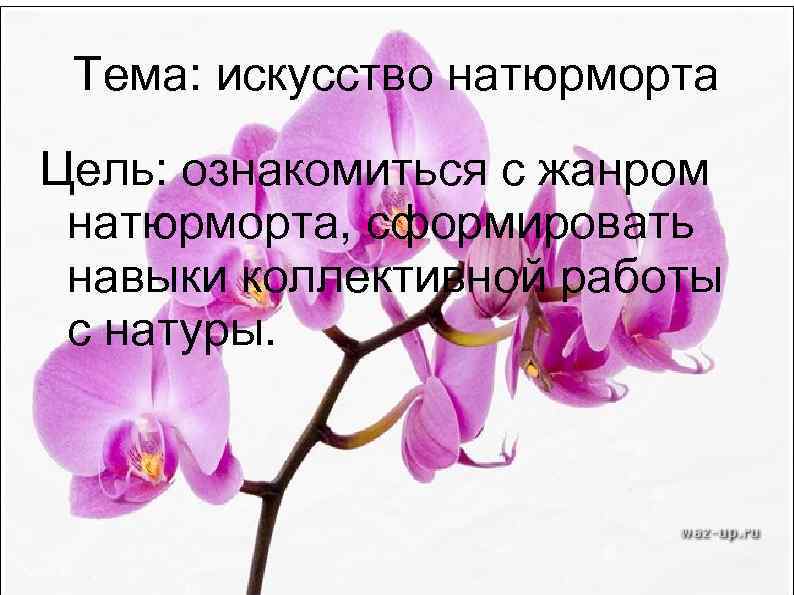 Тема: искусство натюрморта Цель: ознакомиться с жанром натюрморта, сформировать навыки коллективной работы с натуры.