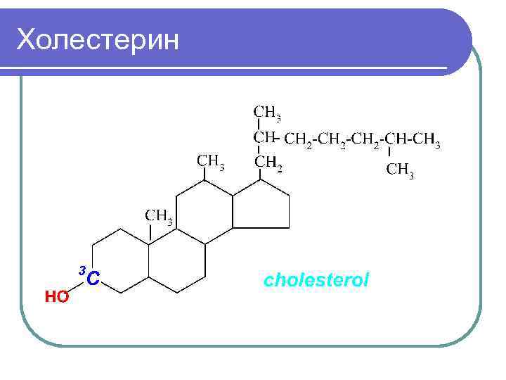 Холестерин 