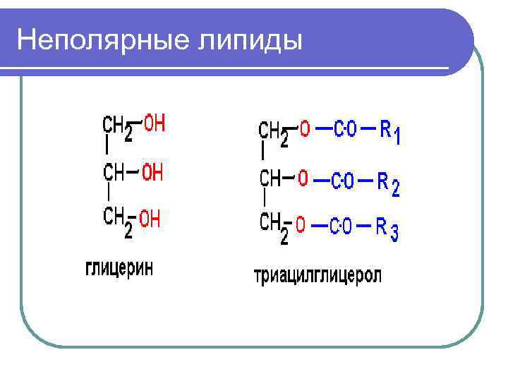 Неполярные липиды 