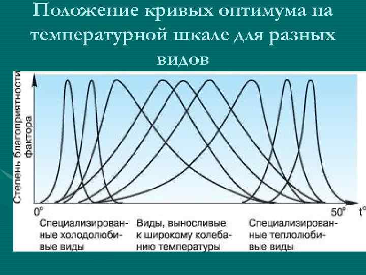 Положение кривых оптимума на температурной шкале для разных видов 
