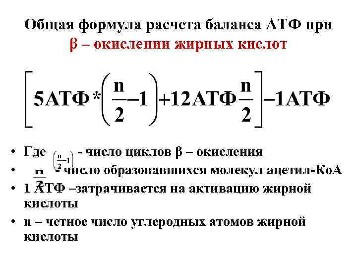 Общая формула расчета баланса АТФ при β – окислении жирных кислот • Где -