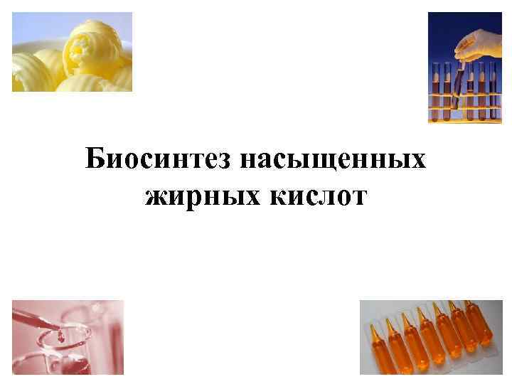 Биосинтез насыщенных жирных кислот 