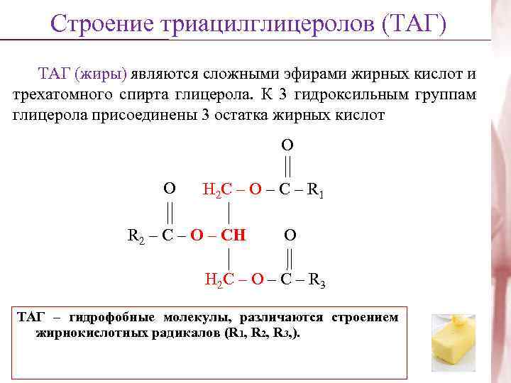 Строение триацилглицеролов (ТАГ) ТАГ (жиры) являются сложными эфирами жирных кислот и трехатомного спирта глицерола.