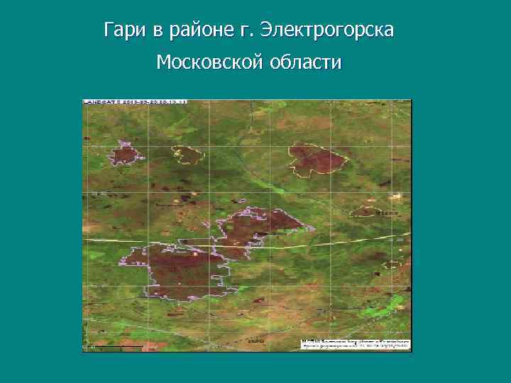 Гари в районе г. Электрогорска Московской области 