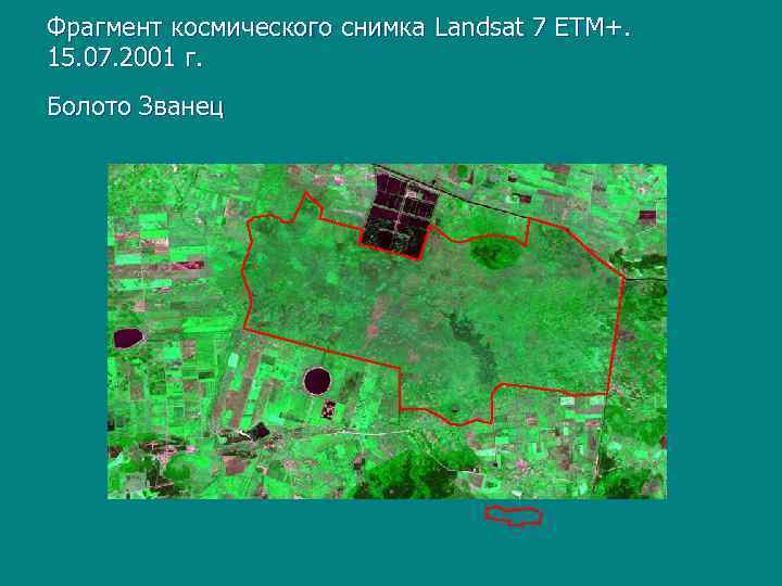 Фрагмент космического снимка Landsat 7 ETM+. 15. 07. 2001 г. Болото Званец 
