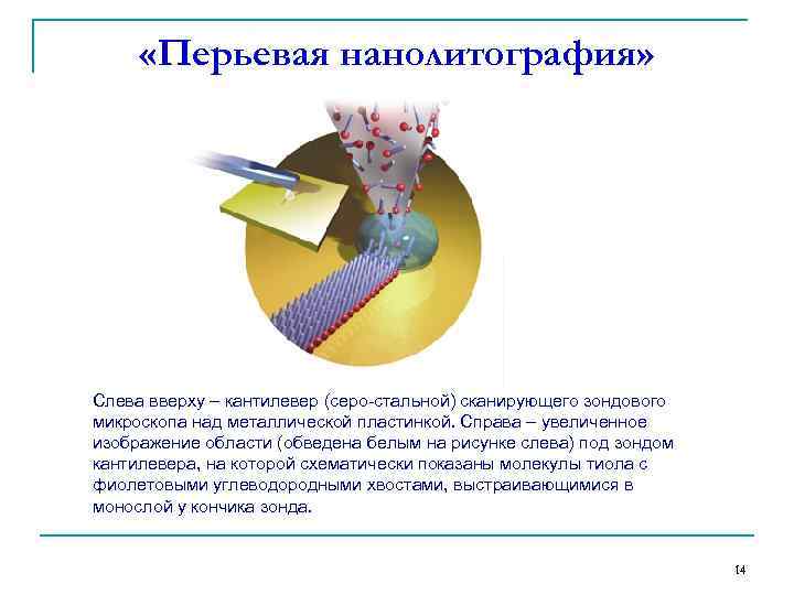  «Перьевая нанолитография» Слева вверху – кантилевер (серо-стальной) сканирующего зондового микроскопа над металлической пластинкой.