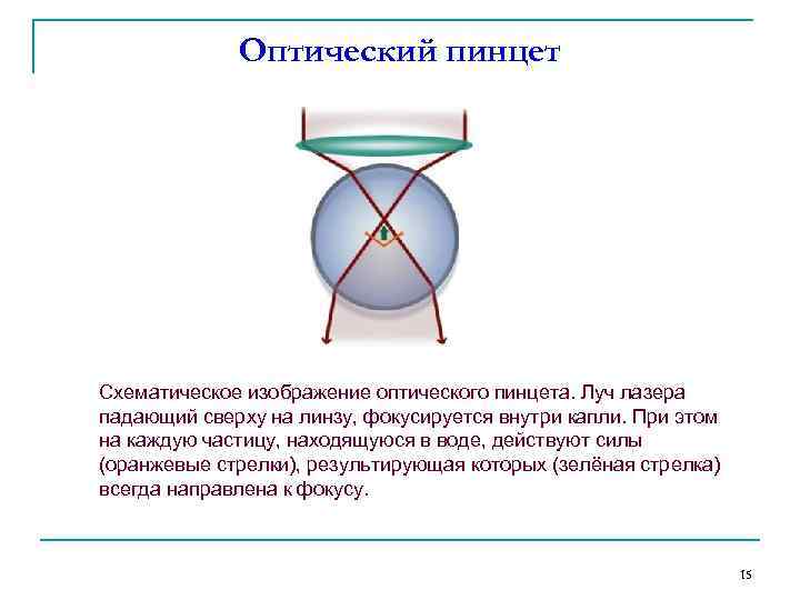 Оптический пинцет Схематическое изображение оптического пинцета. Луч лазера падающий сверху на линзу, фокусируется внутри