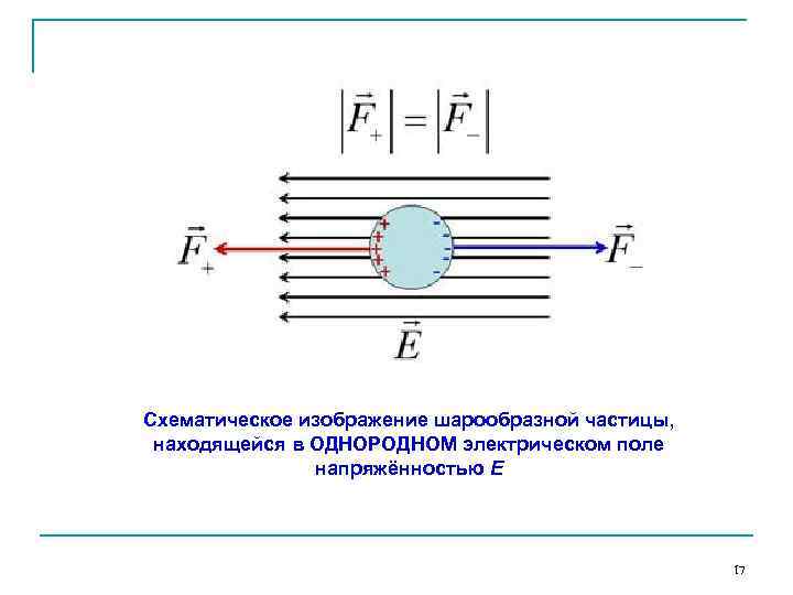 Однородное электрическое поле рисунок. Схематическое изображение электрического поля. Однородное электрическое поле. Схематическое изображение однородного электрического поля. Частица в электрическом поле.