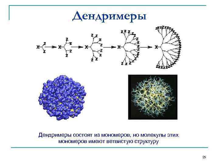 Дендримеры состоят из мономеров, но молекулы этих мономеров имеют ветвистую структуру 25 