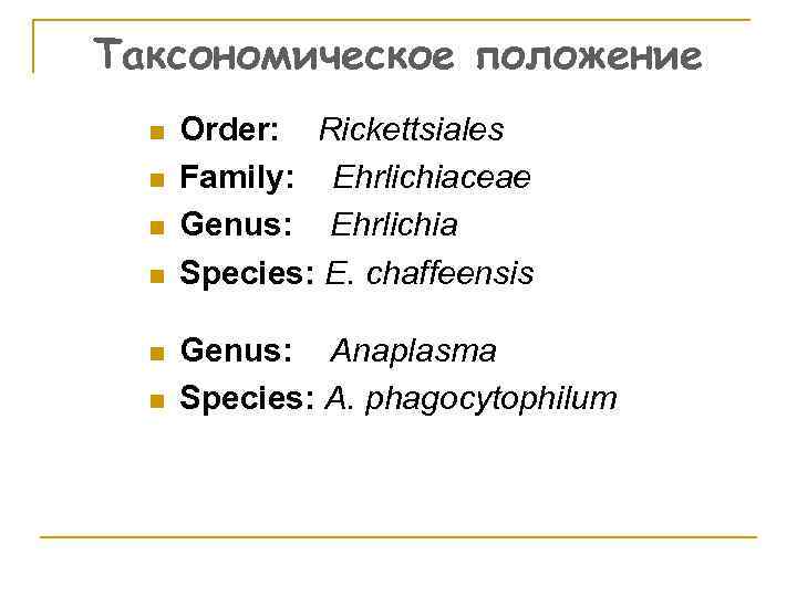 Таксономическое положение n n n Order: Rickettsiales Family: Ehrlichiaceae Genus: Ehrlichia Species: E. chaffeensis