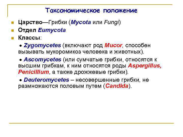 Таксономическое положение n n n Царство—Грибки (Mycota или Fungi) Отдел Eumycota Классы: Zygomycetes (включают