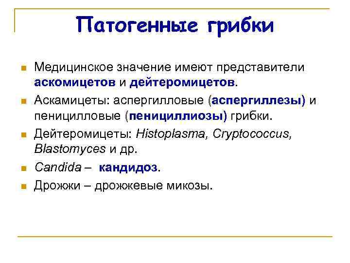 Патогенные грибки n n n Медицинское значение имеют представители аскомицетов и дейтеромицетов. Аскамицеты: аспергилловые