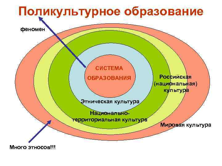Поликультурное образование феномен СИСТЕМА ОБРАЗОВАНИЯ Российская (национальная) культура Этническая культура Национальнотерриториальная культура Много этносов!!!