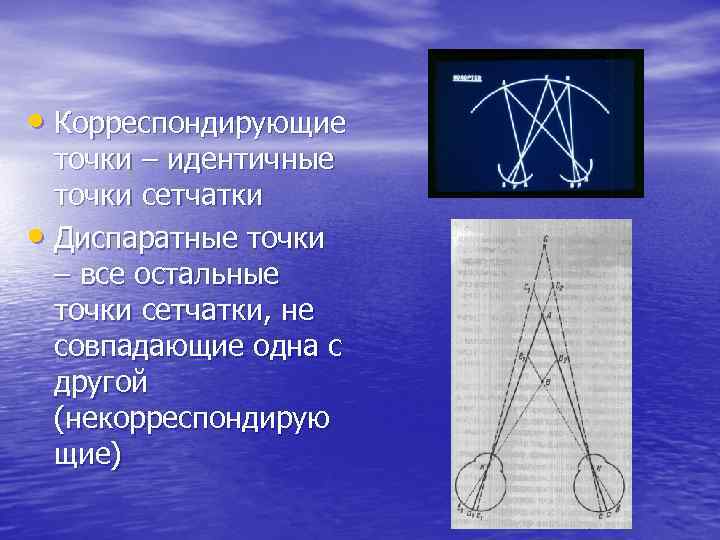 Что такое идентичные и диспаратные точки сетчатки каково их значение в восприятии изображения